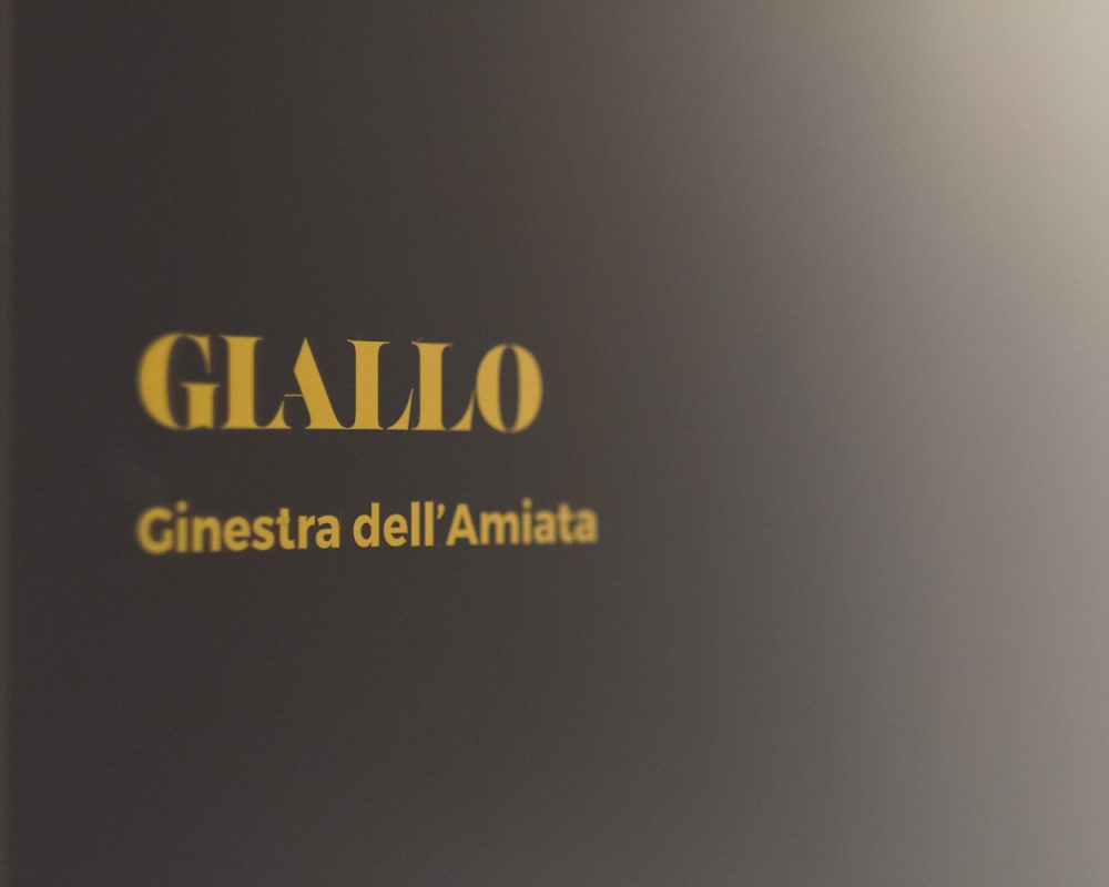 Giallo - ginestra dell_amiata 35