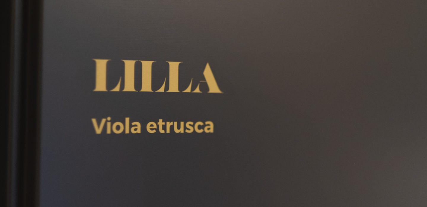 Lilla - viola etrusca 18