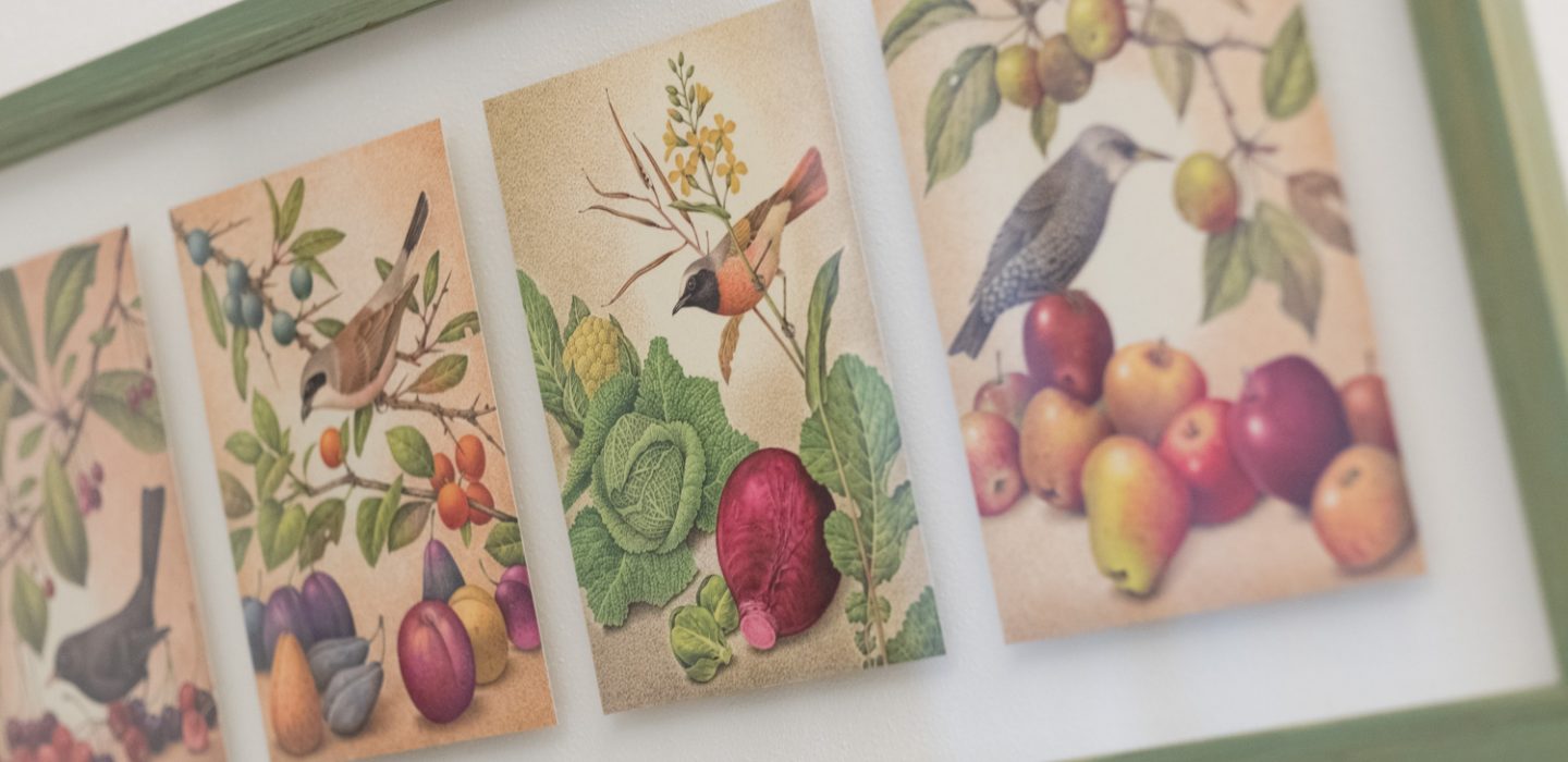 Verde - Faggetta dell_amiata 23