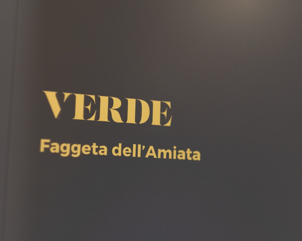 Verde - Faggetta dell_amiata 27