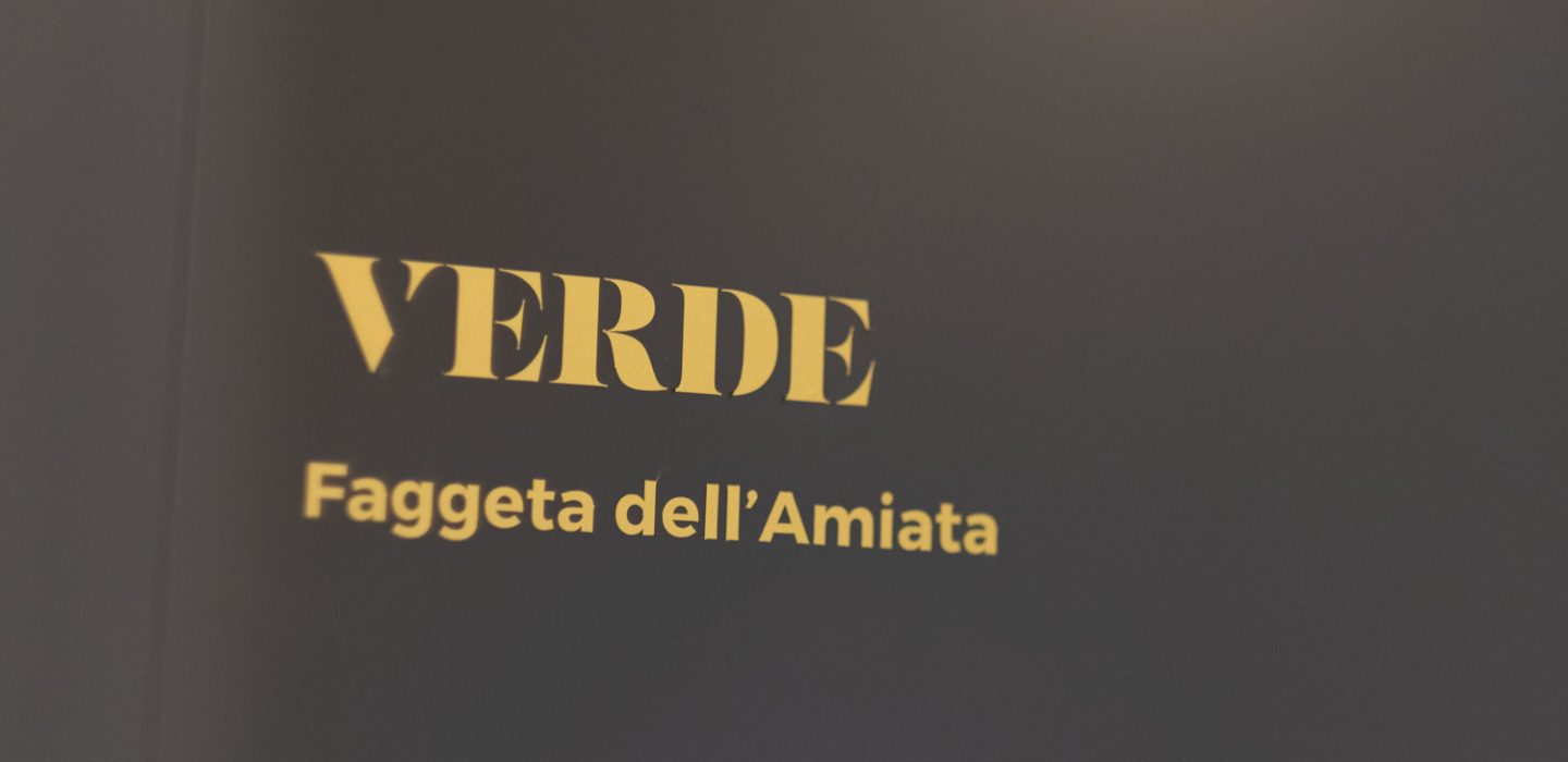 Verde - Faggetta dell_amiata 27